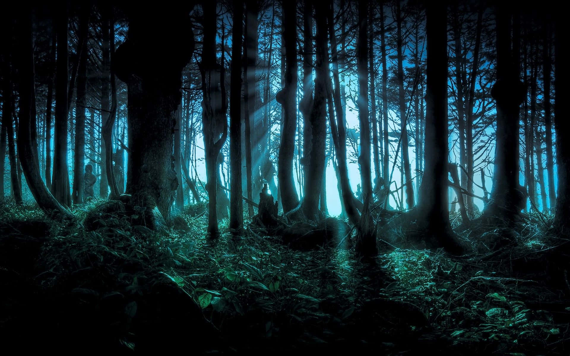 Pelottava Halloween-työpöytä Metsä Taustakuvat