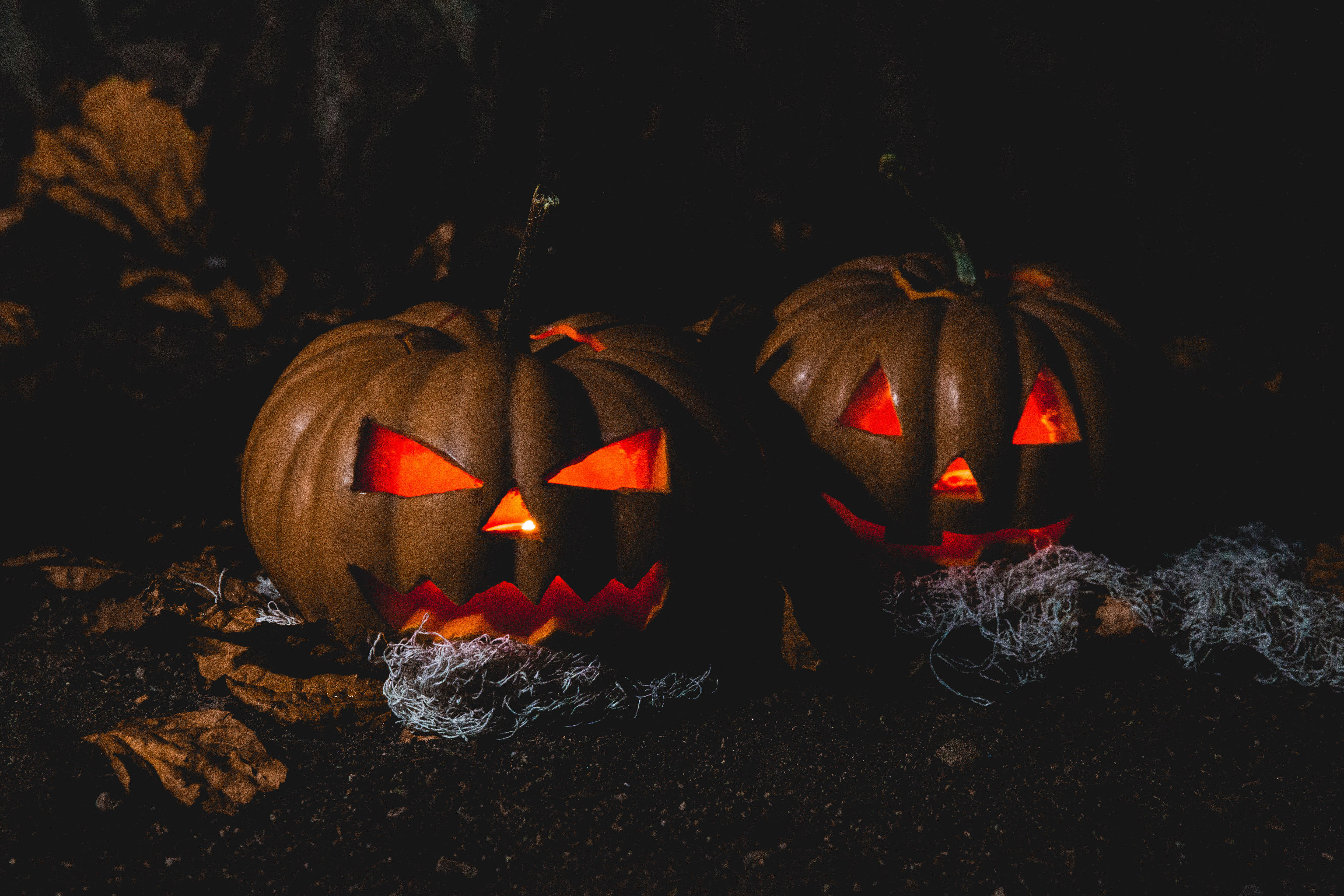 Pelottava kurpitsa kauhistuttavaan halloweeniin Taustakuvat