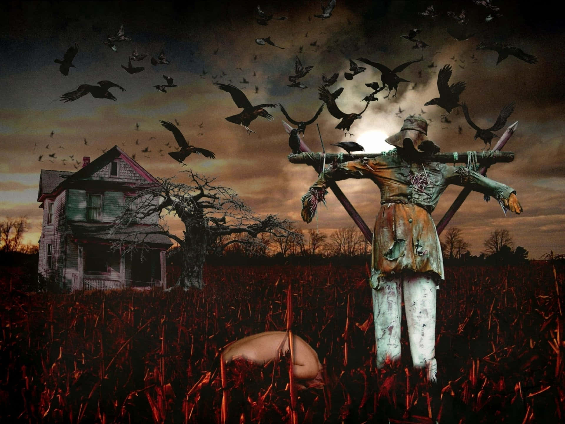 Pelottavia Halloween-kuvia Taustakuvat