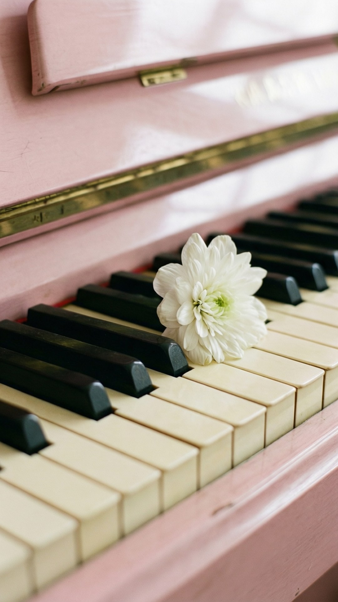 Piano ja terälehdet Taustakuvat