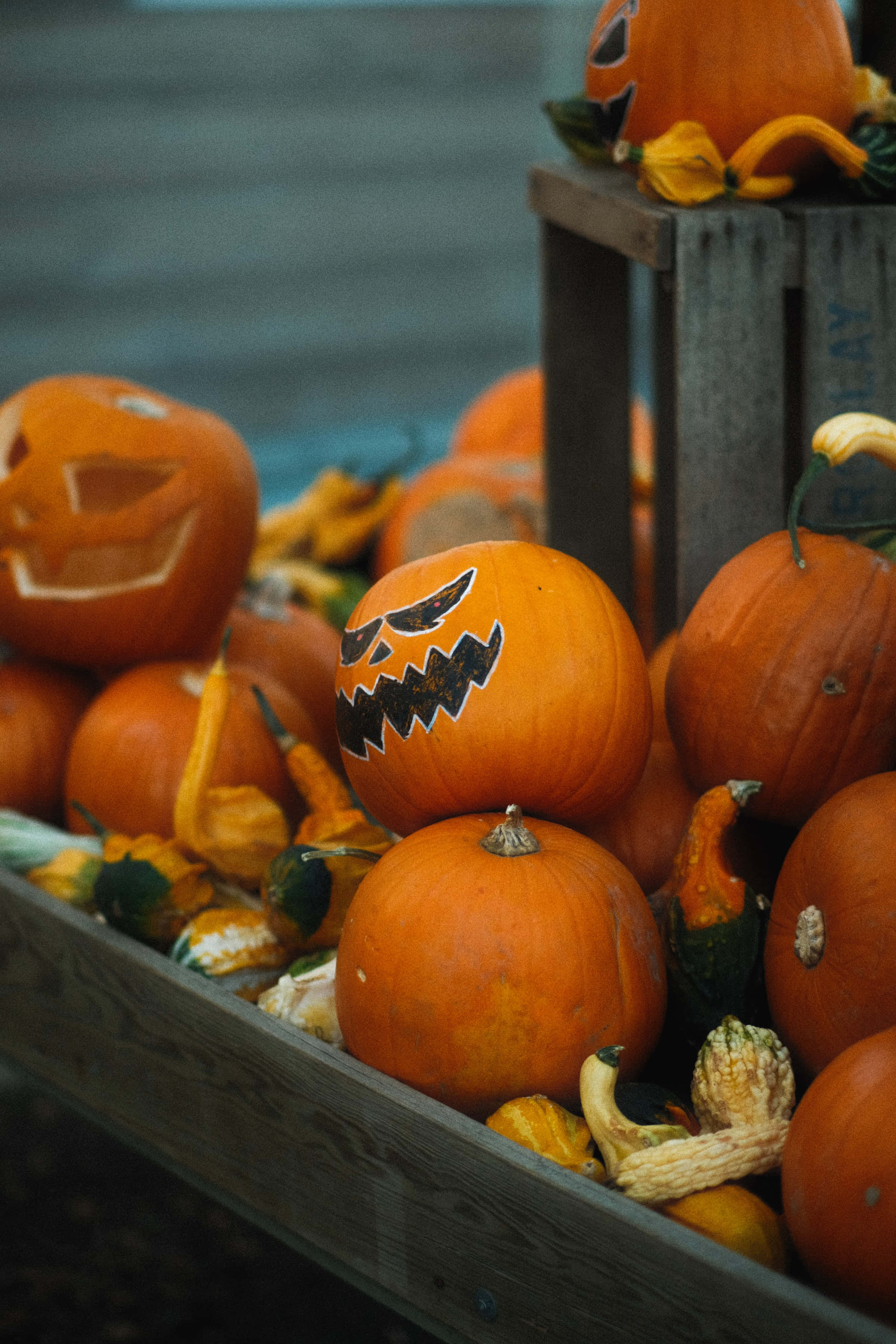 Pieni Jack-O-Lantern korkearesoluutioinen Halloween-taustakuva Taustakuvat