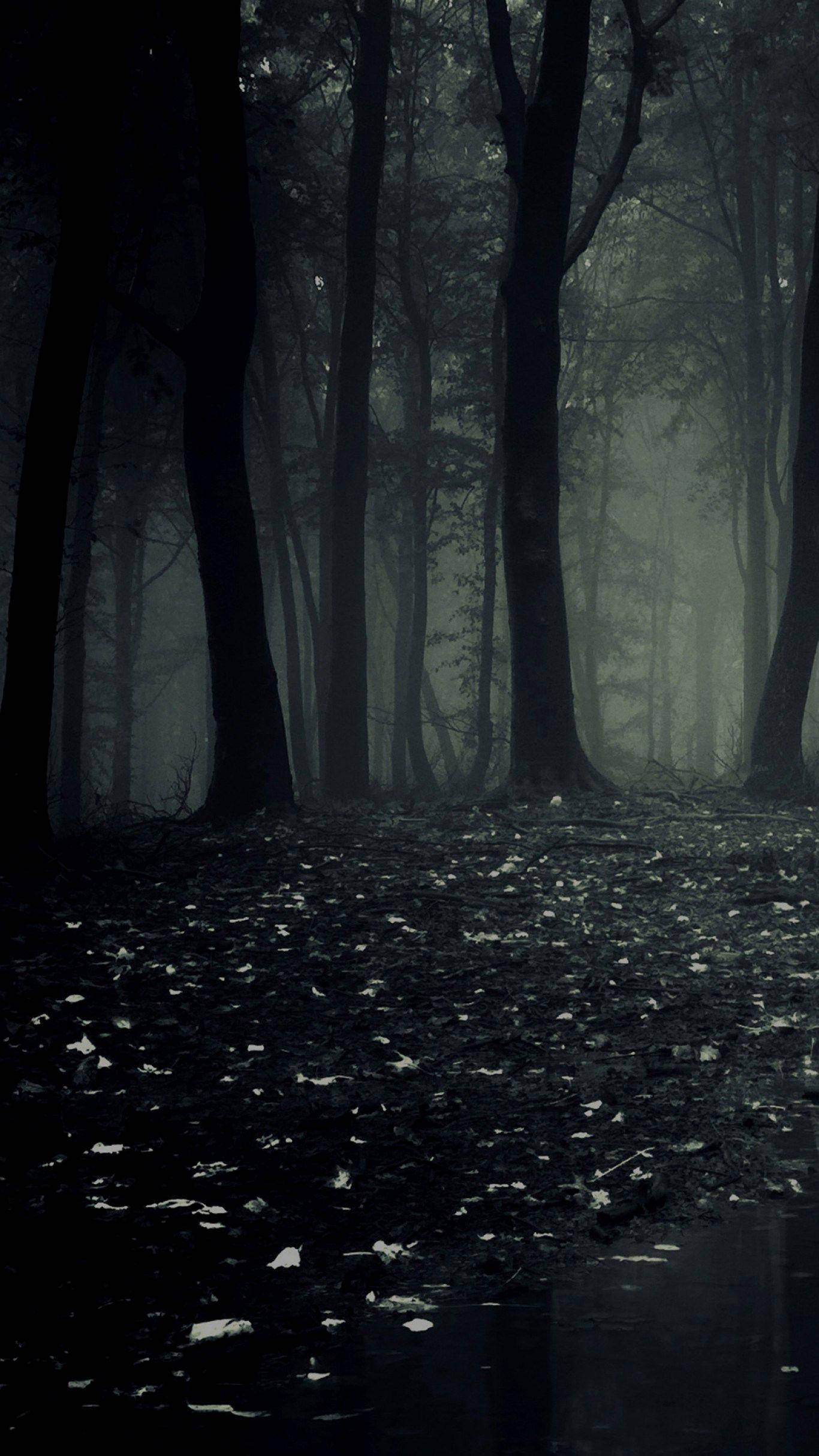 Pimeä puhelin pelottava metsä Taustakuvat