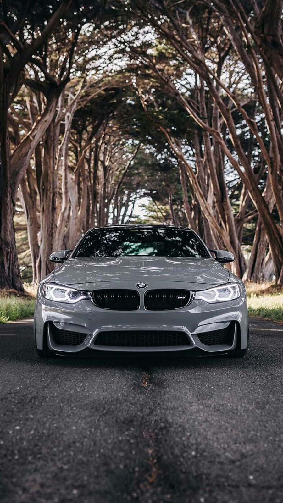 Pixel 3 BMW M4 hopeanmetallisena II taustakuva Taustakuvat