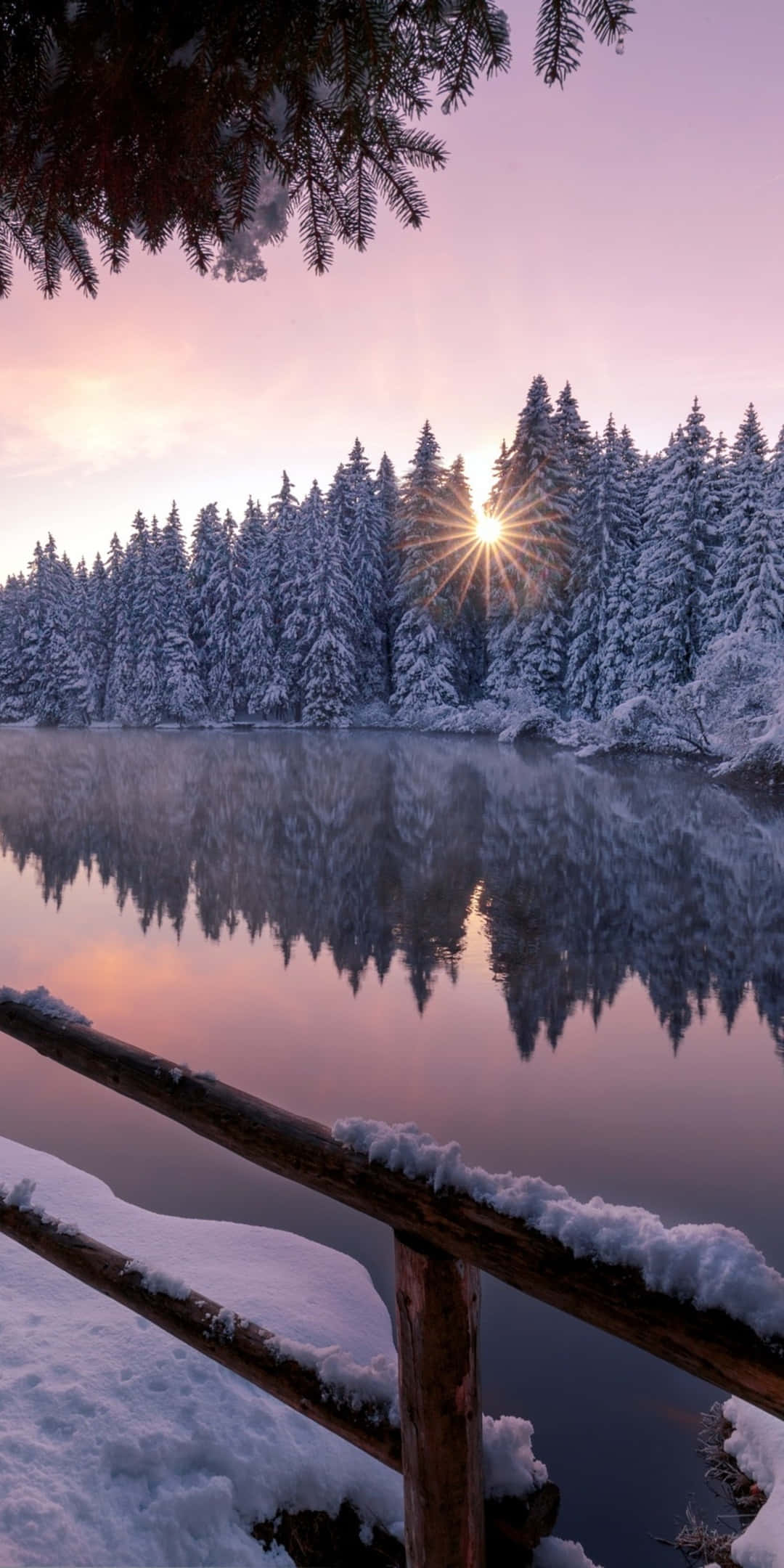 Pixel 3 talvitausta jäinen joki metsän vierellä Taustakuvat
