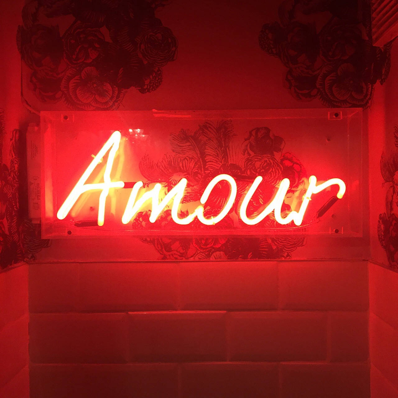 Punainen esteettinen neon Amour Taustakuvat