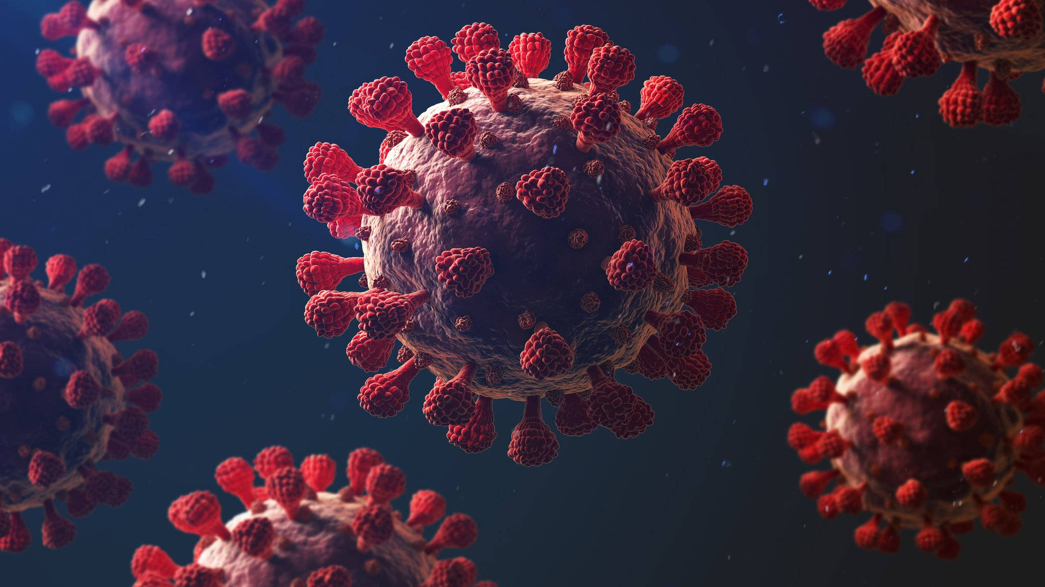 Punapiikkinen koronavirus Taustakuvat