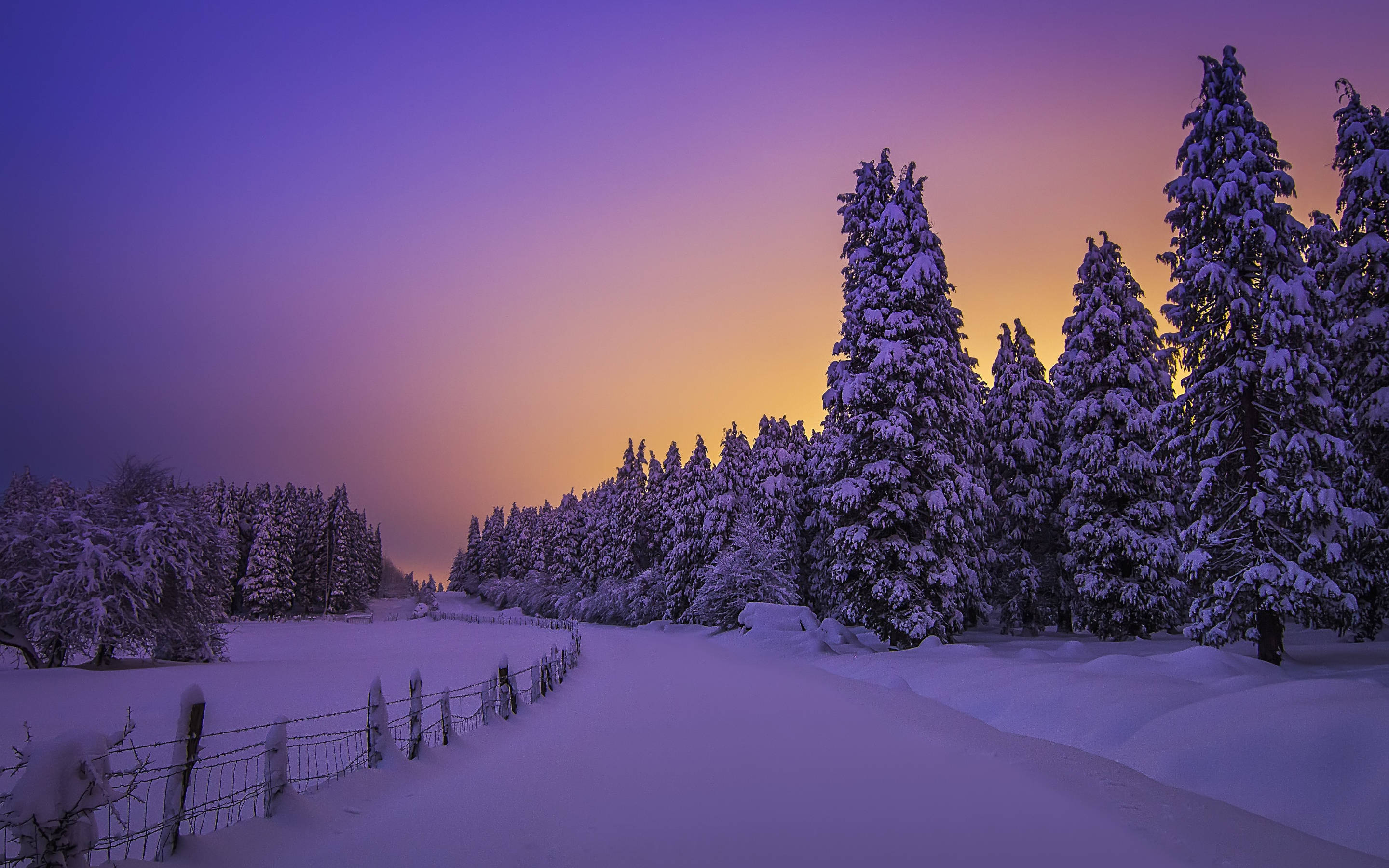 Purppura auringonlasku talviaesthetic Taustakuvat