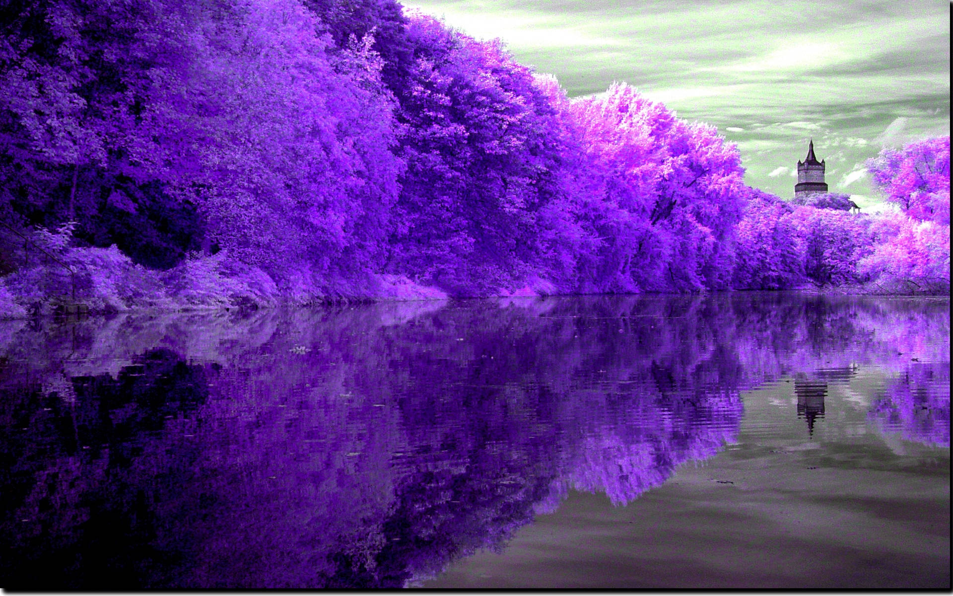 Purppurajärven heijastus Taustakuvat