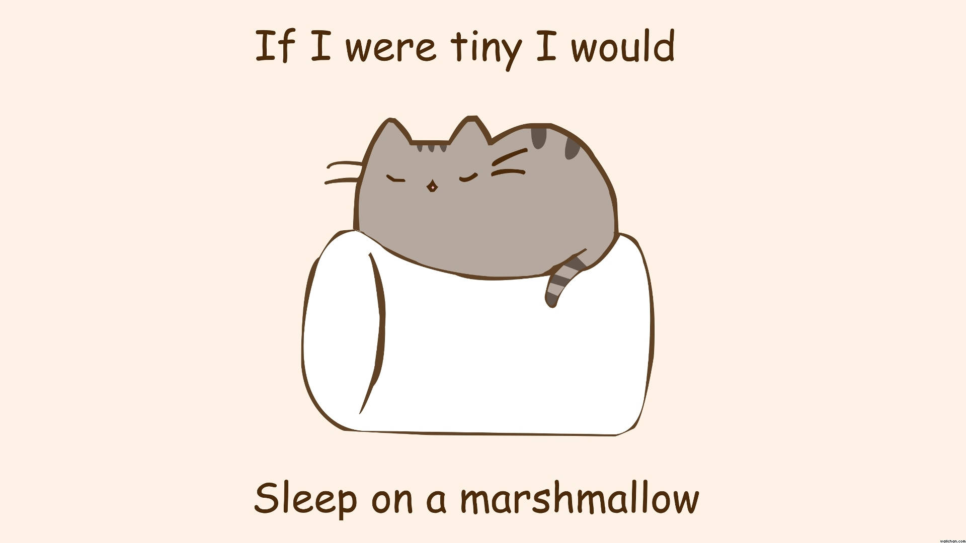 Pusheen Nukkumassa Vaahtokarkilla Taustakuvat