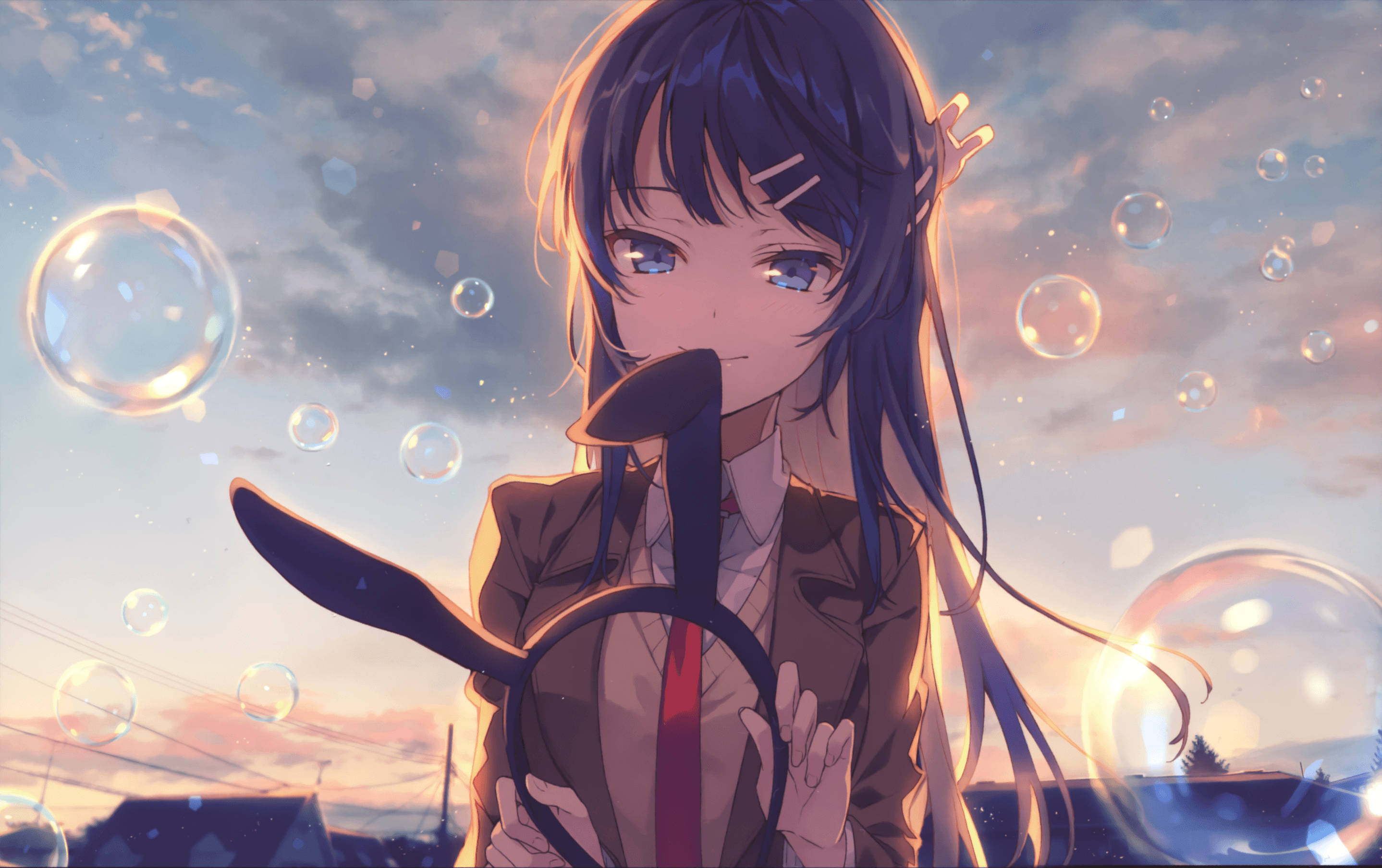 Rascal Does Not Dream Of Bunny Girl Senpai Kuplat Taustakuvat