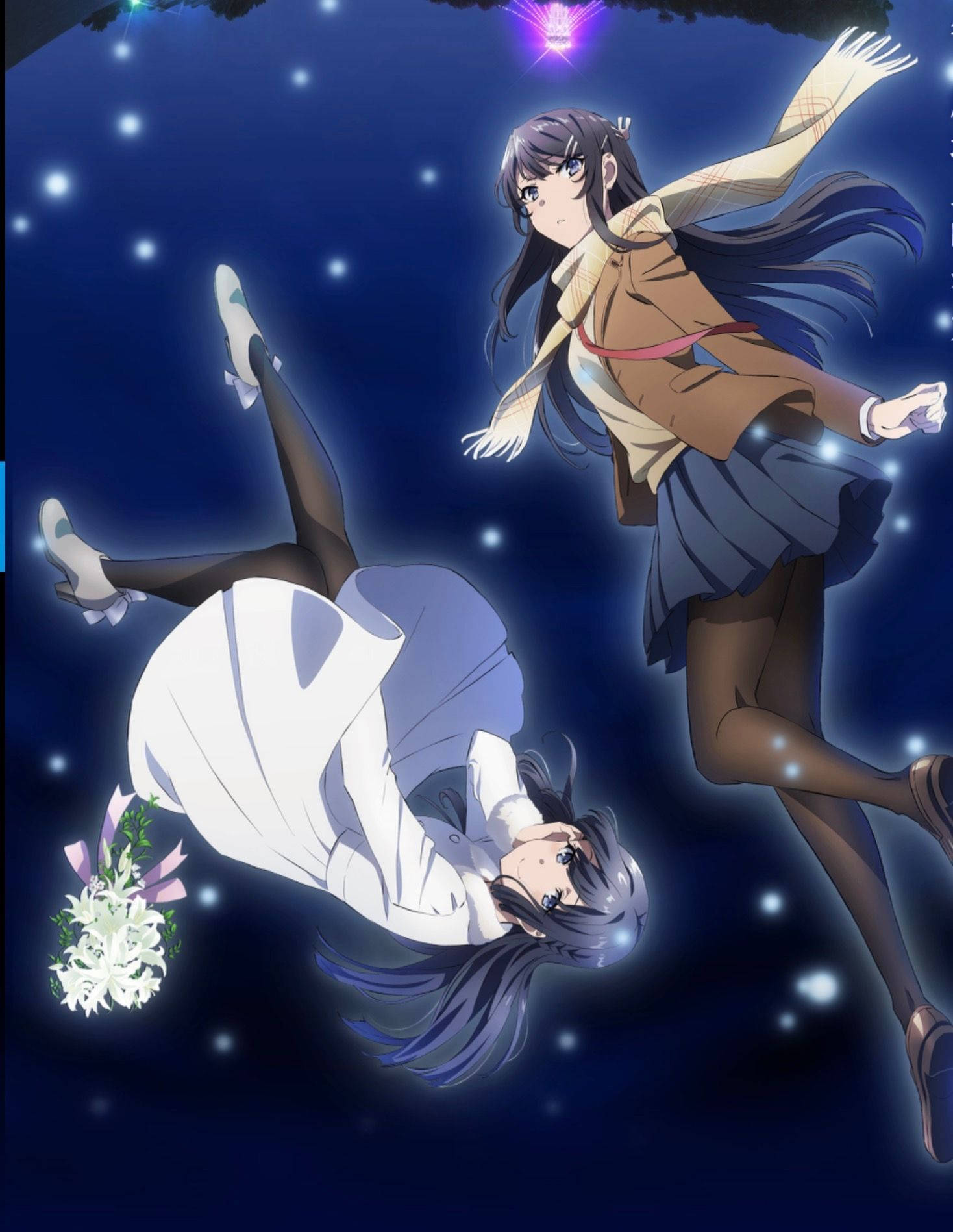 Rascal Does Not Dream Of Bunny Girl Senpai — Anime estetiikka GIF Taustakuvat