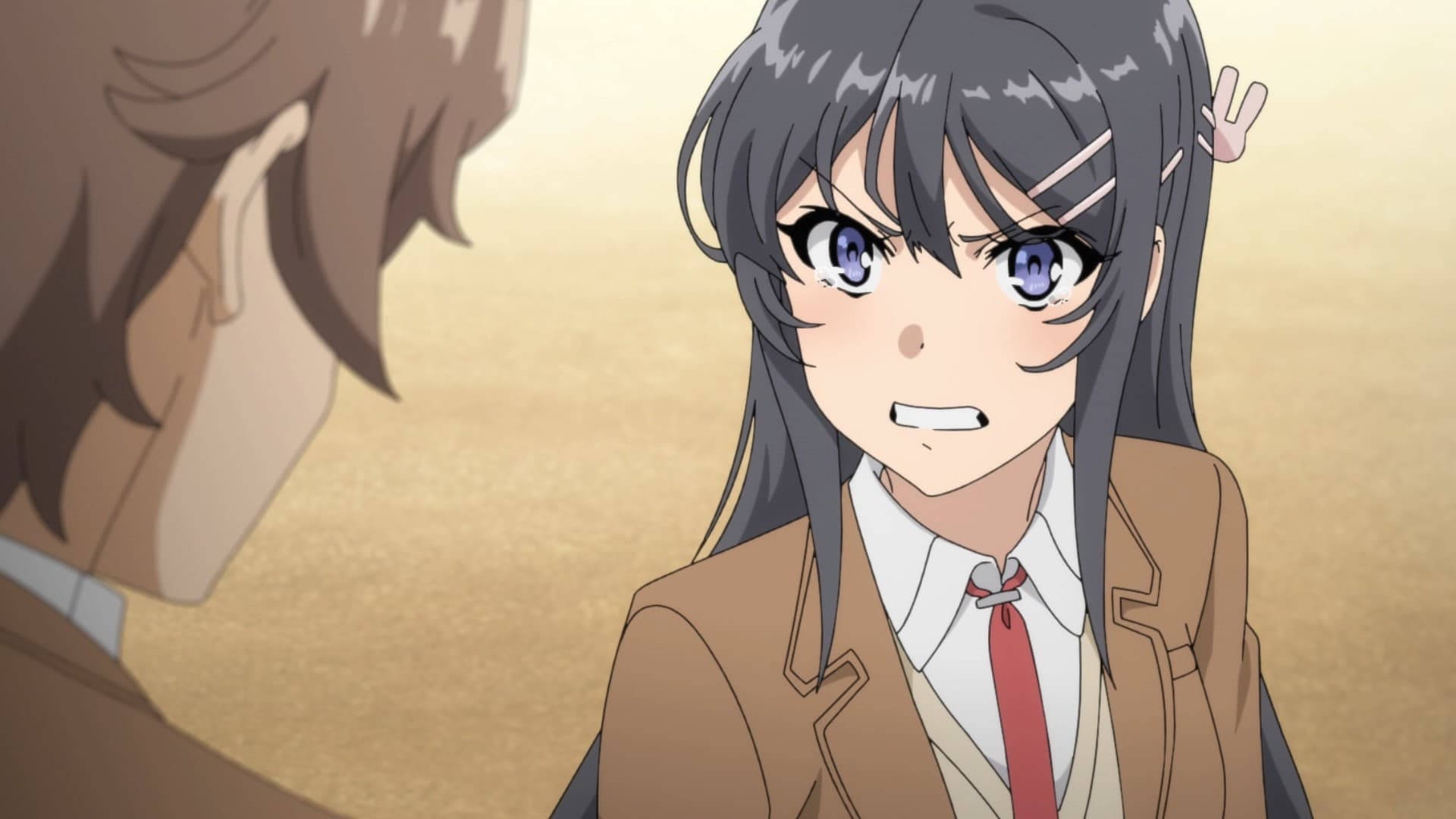Rascal Does Not Dream Of Bunny Girl Senpai Vihainen Mai Taustakuvat