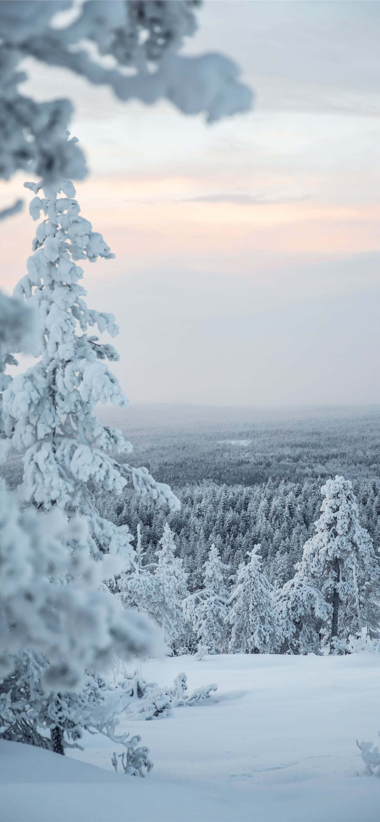 Rauhallinen lumimaisema Taustakuvat