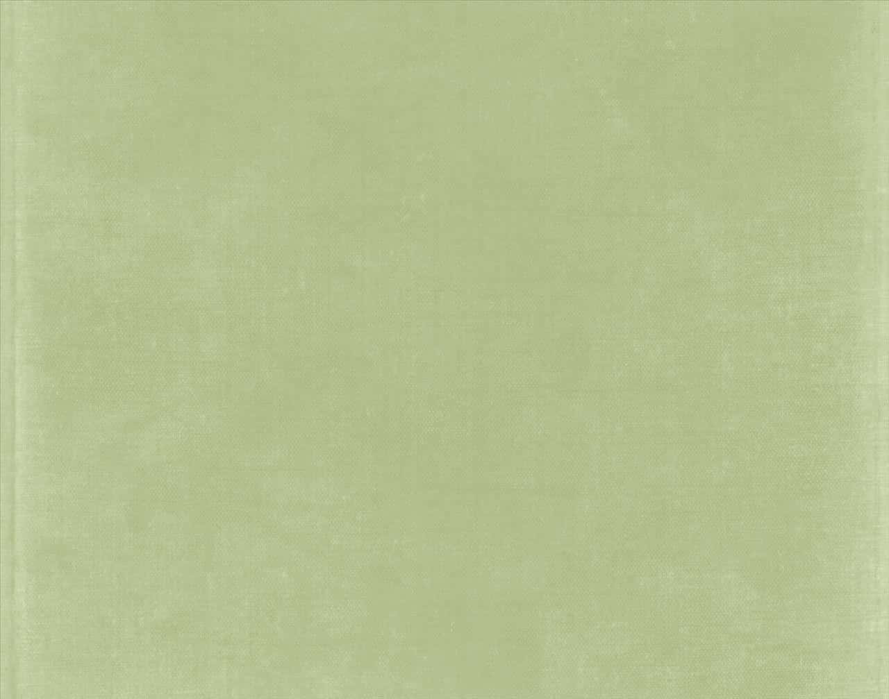 Rauhallinen salviavihreä esteettinen tausta Taustakuvat