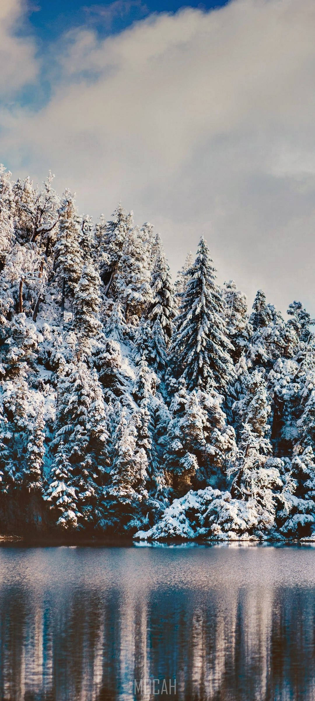 Realme 7 Pro Lumimetsä Taustakuvat
