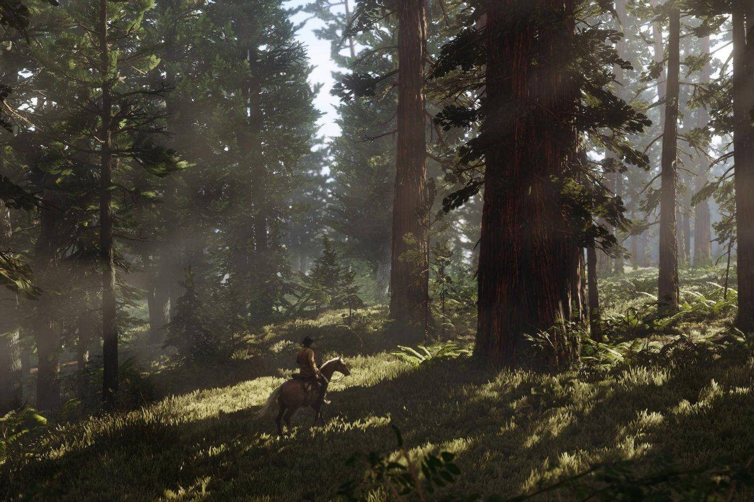 Red Dead Redemption 2 4K Metsä Taustakuvat
