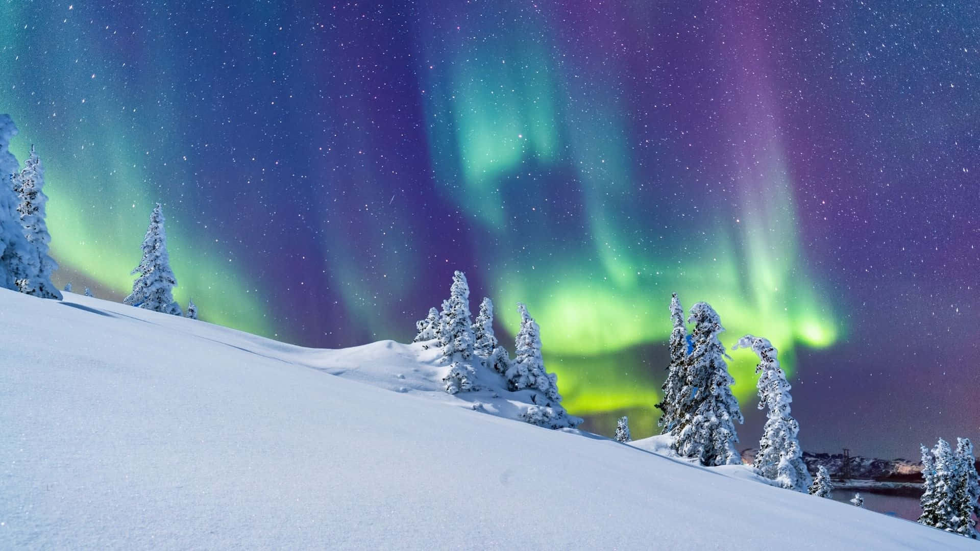 Revontulien talvinen ihmemaa -taustakuva Taustakuvat