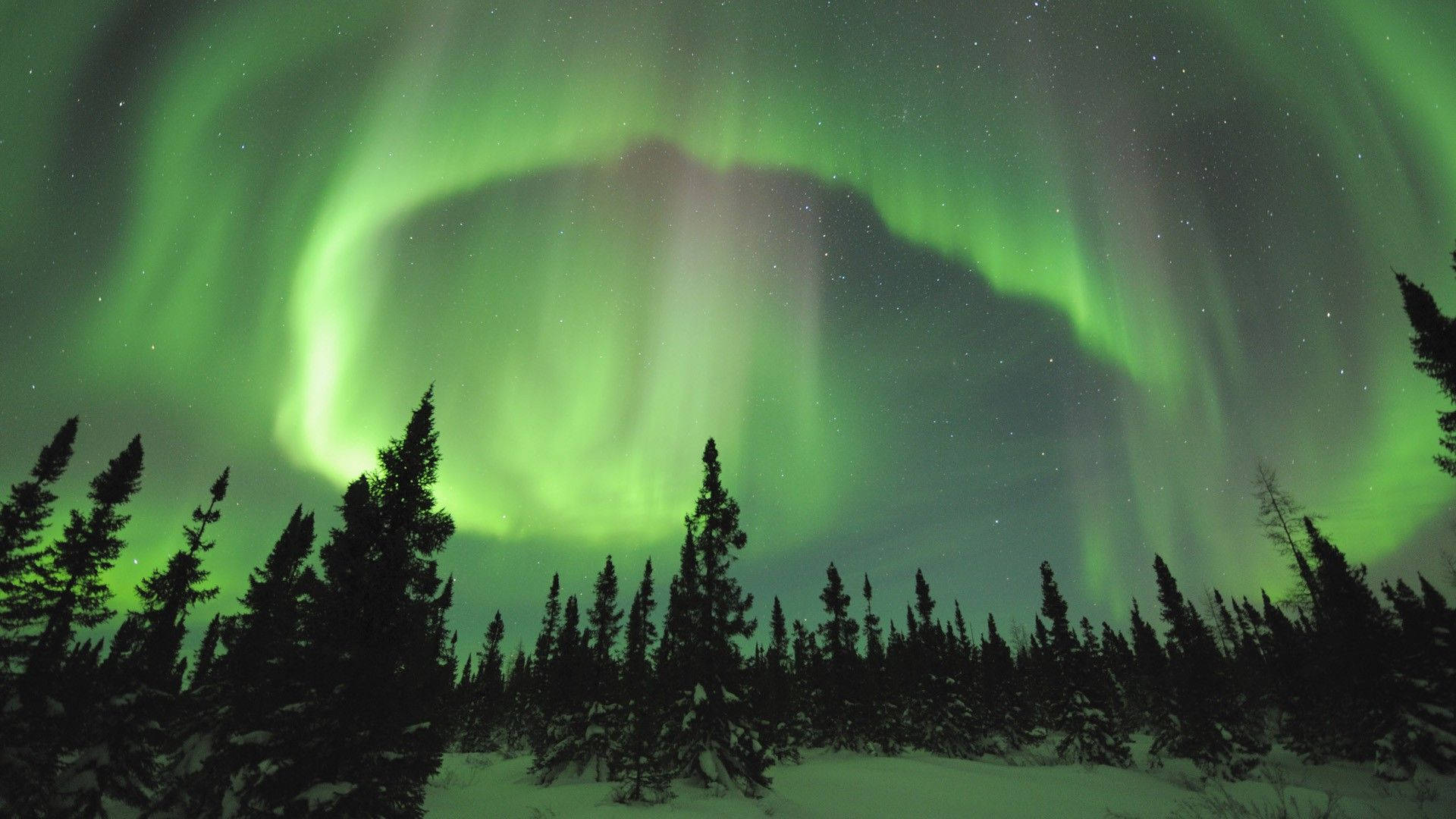 Revontulien vihreä taivas Taustakuvat