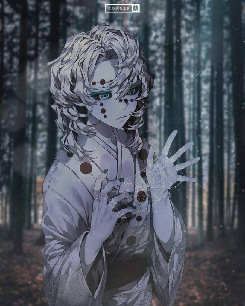 Rui Demon Slayer metsässä Taustakuvat