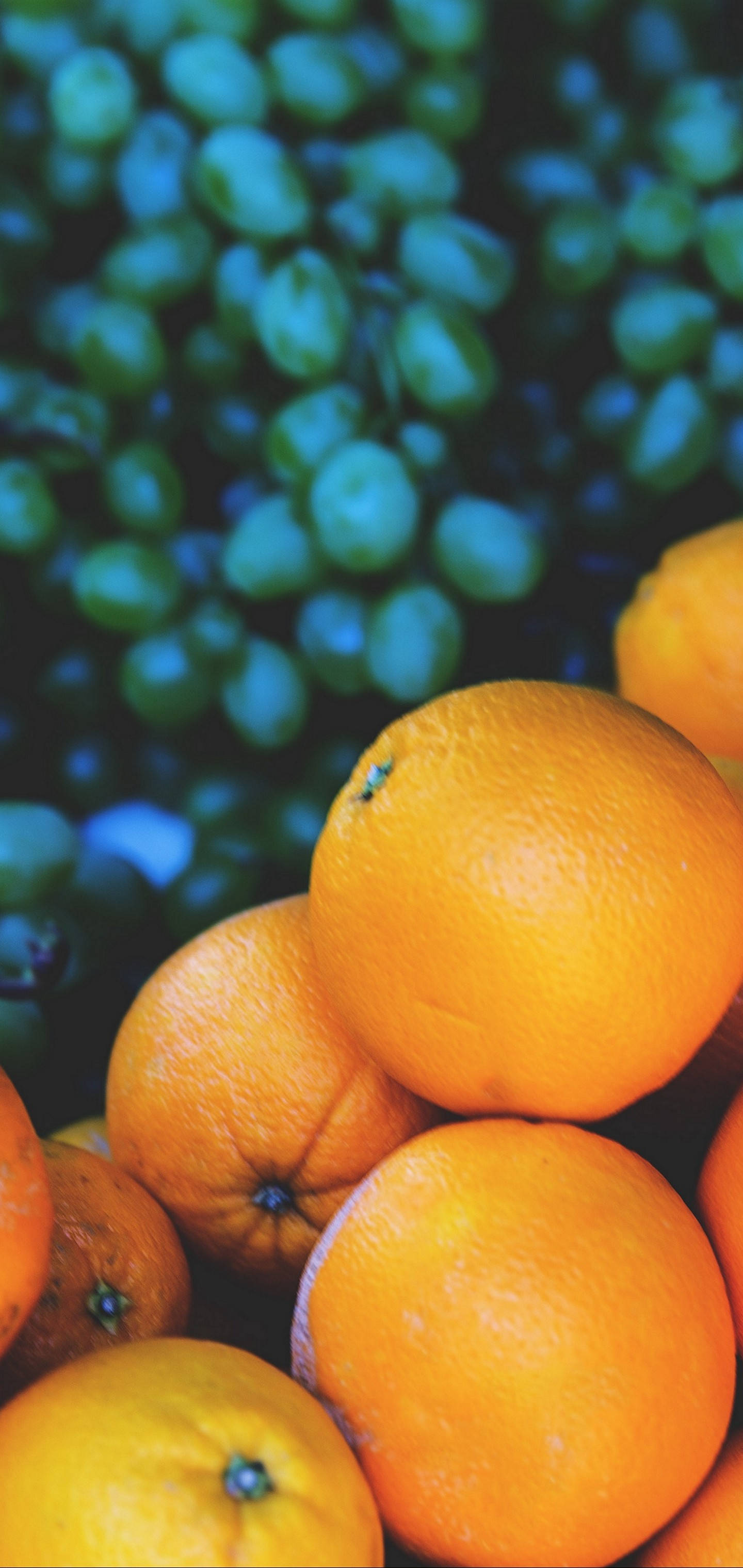 S10 Oranges And Grapes Taustakuvat