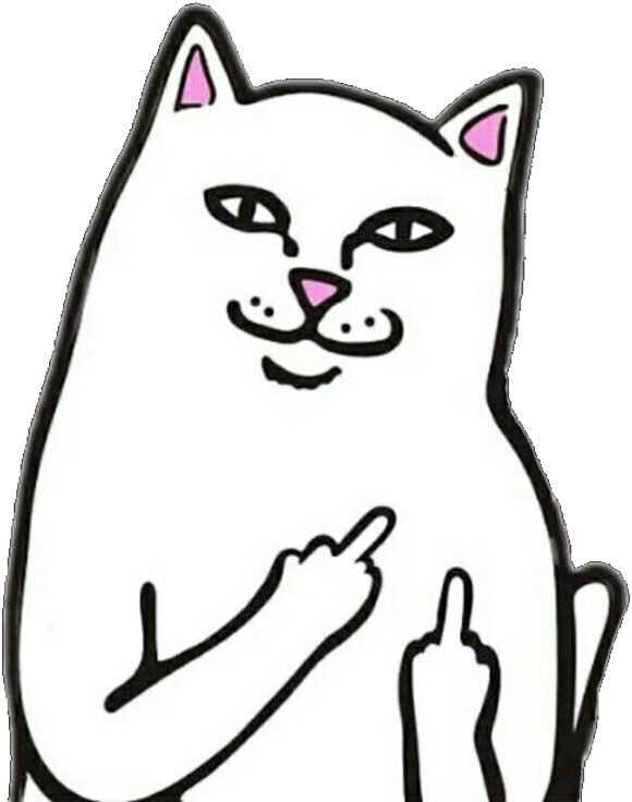 Sassy Cat Meme Ele Taustakuvat