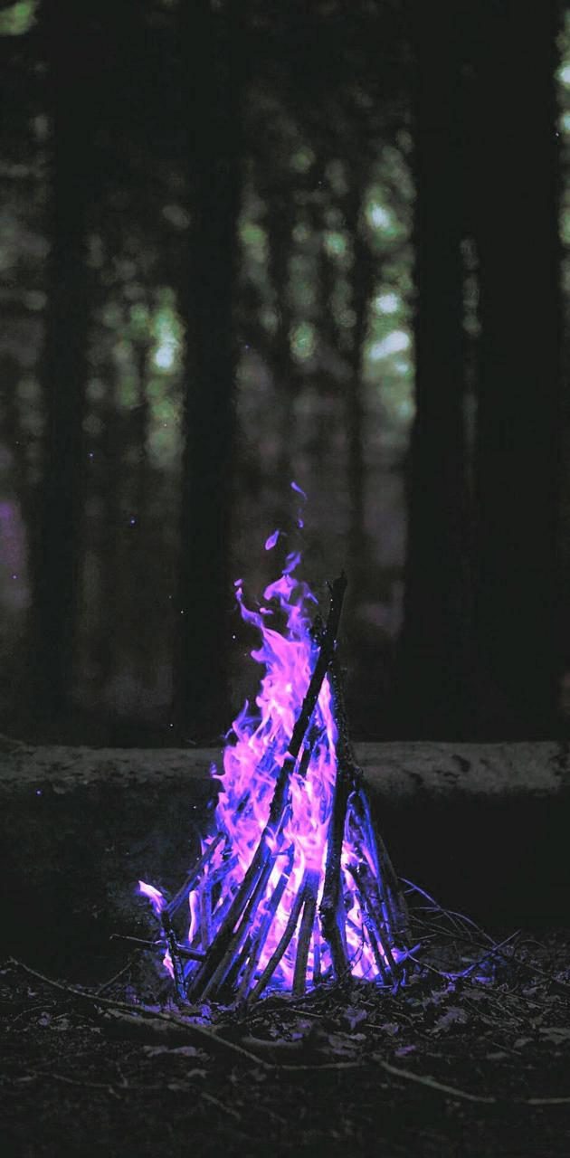 Säteilevä violetti tuli sytyttää pimeyden Taustakuvat