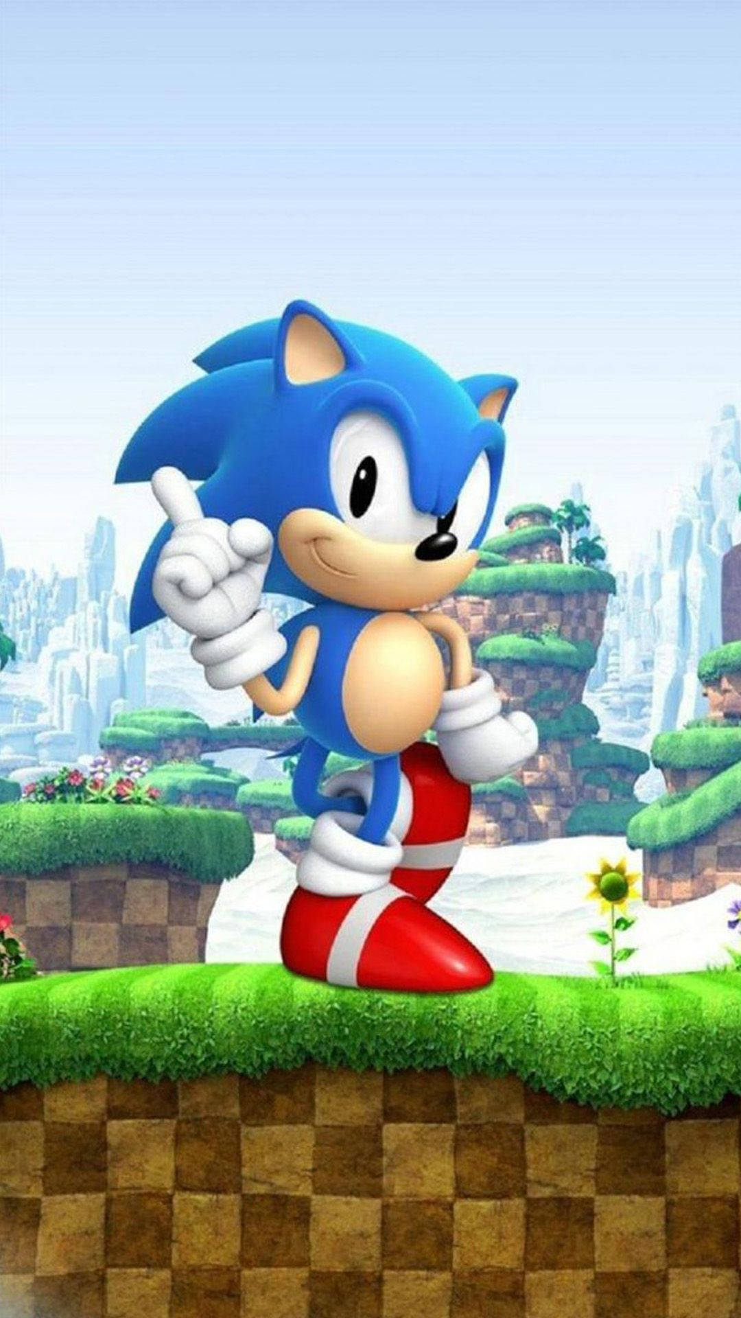 Seikkailunhaluinen siili Sonic vihreillä terasseilla -taustakuva.