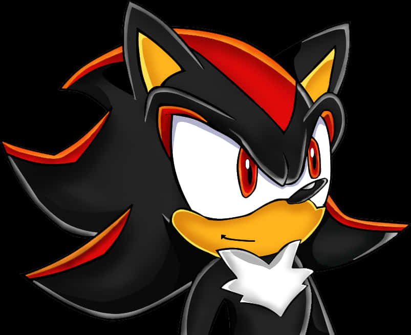Shadow The Hedgehog -muotokuva Taustakuvat
