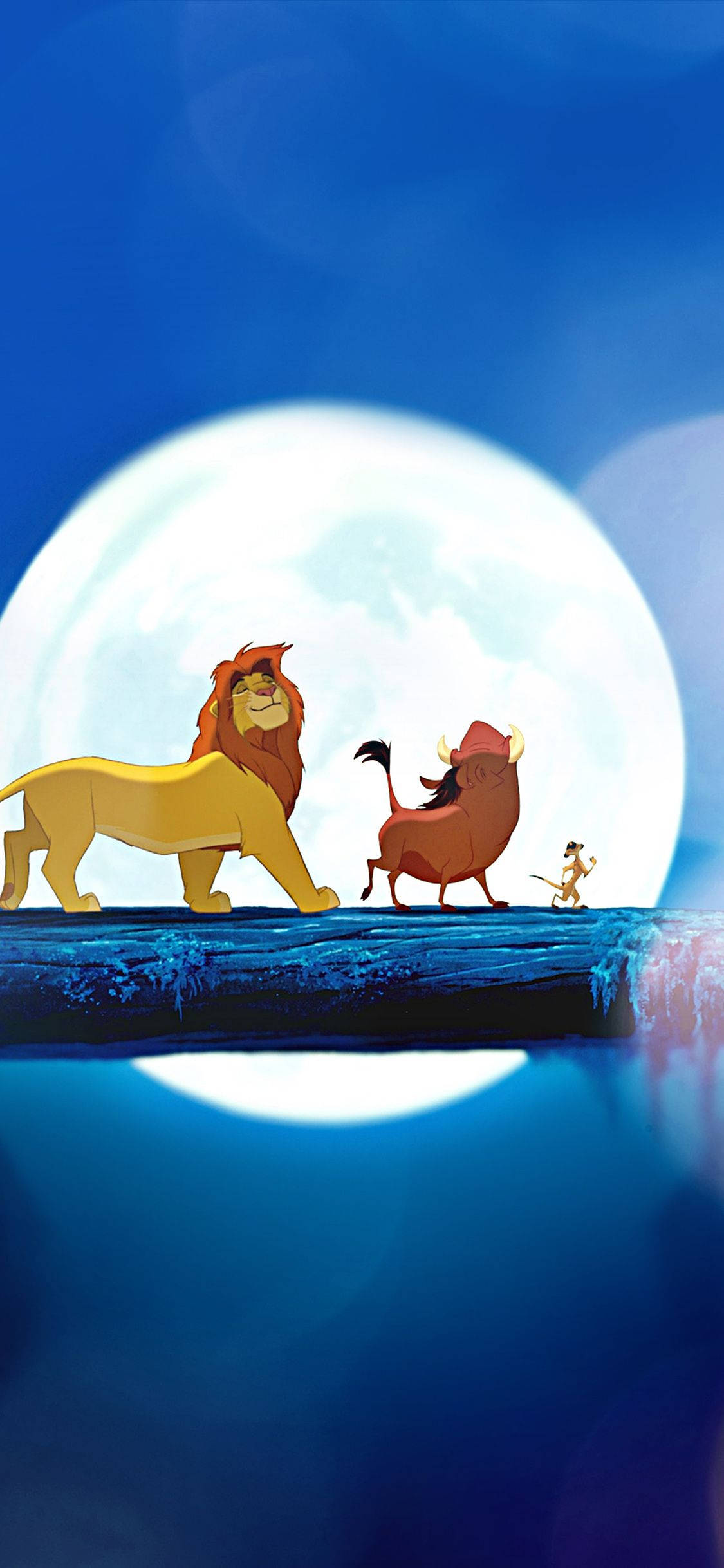 Simba katselee auringonnousua savannilla Taustakuvat