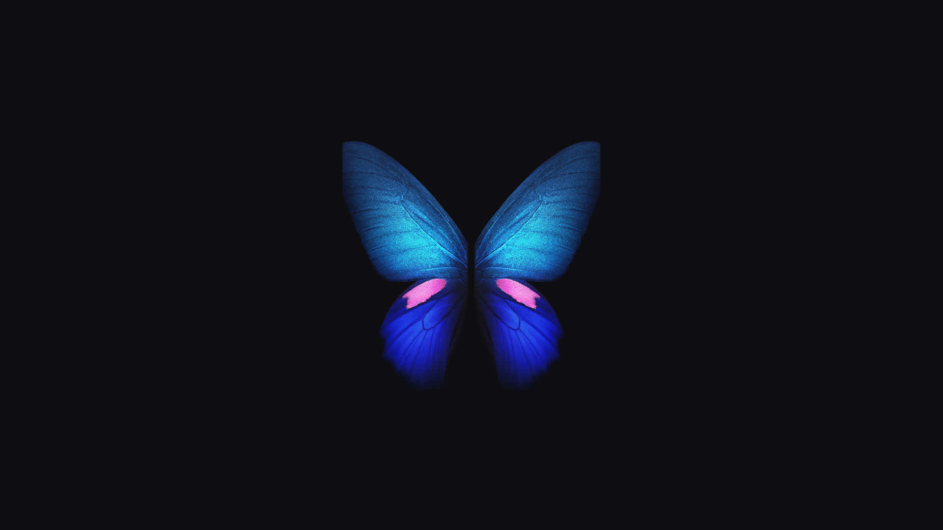 4K OLED -taustakuva