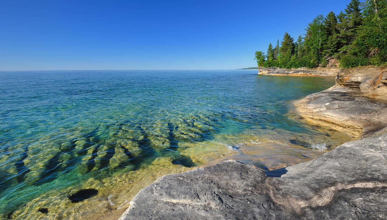 Sinivihreä Suurten järvien kuva Taustakuvat