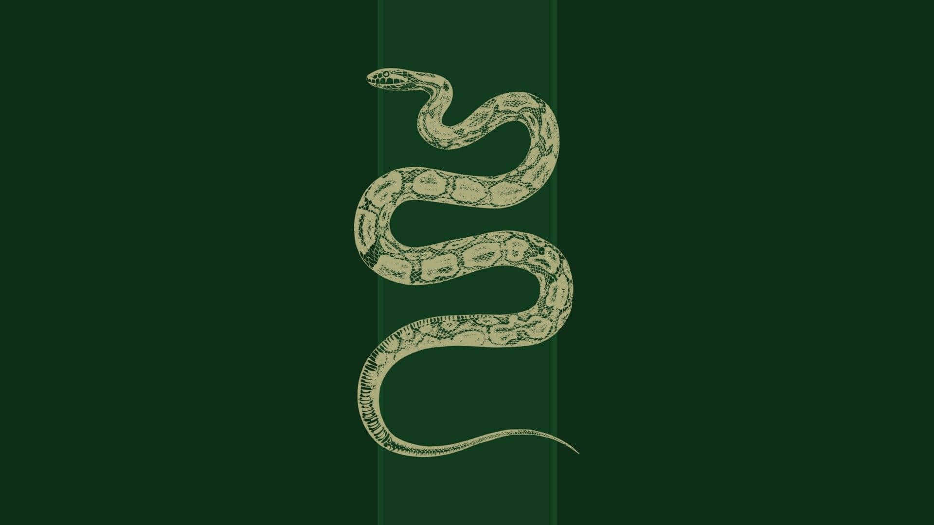 Slytherin-makuuhuoneen estetiikka Taustakuvat