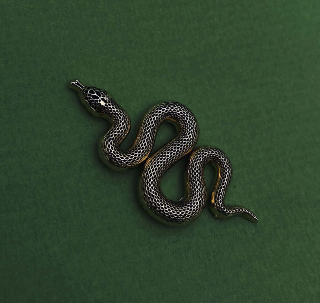 Slytherinin salaperäinen, ikiaikainen taika Taustakuvat