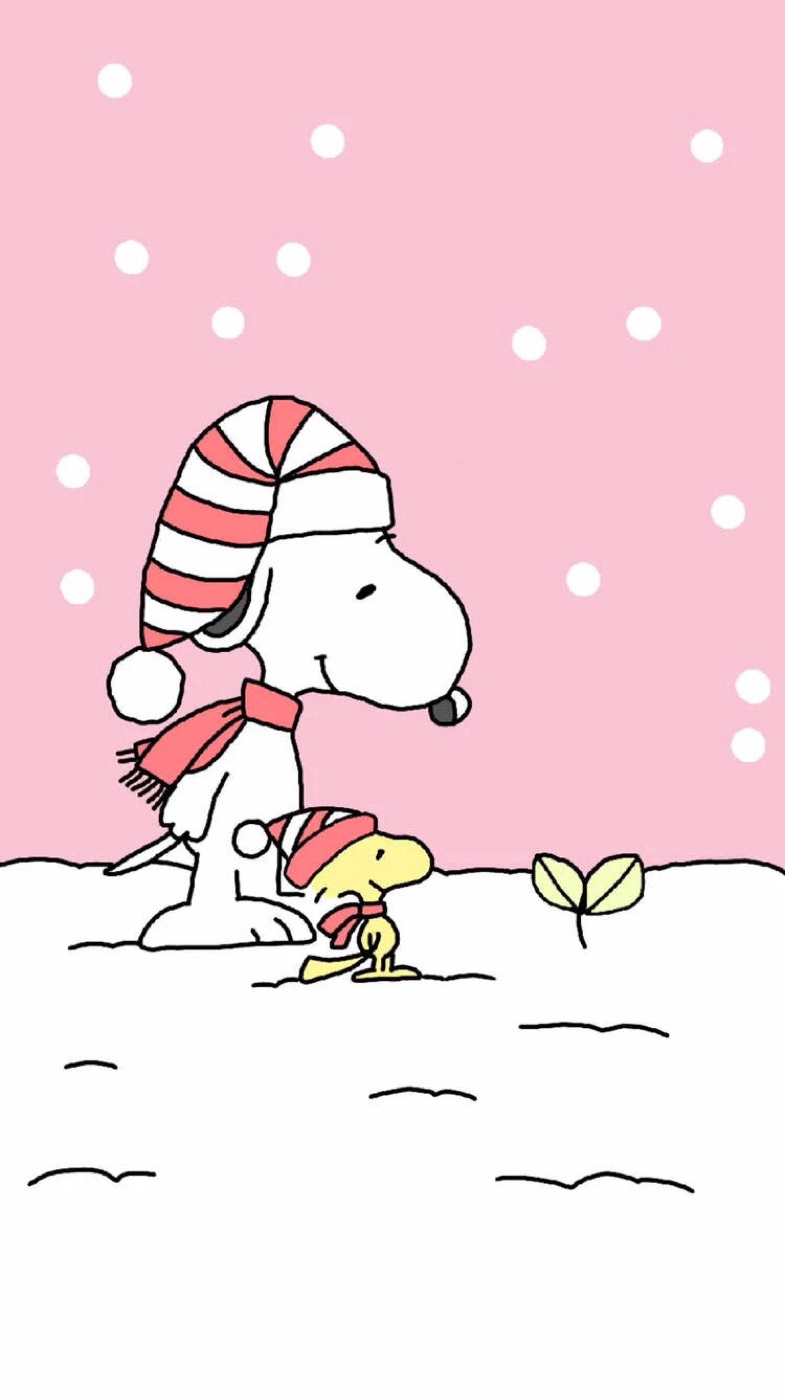 Snoopy Joulukasvi Taustakuvat