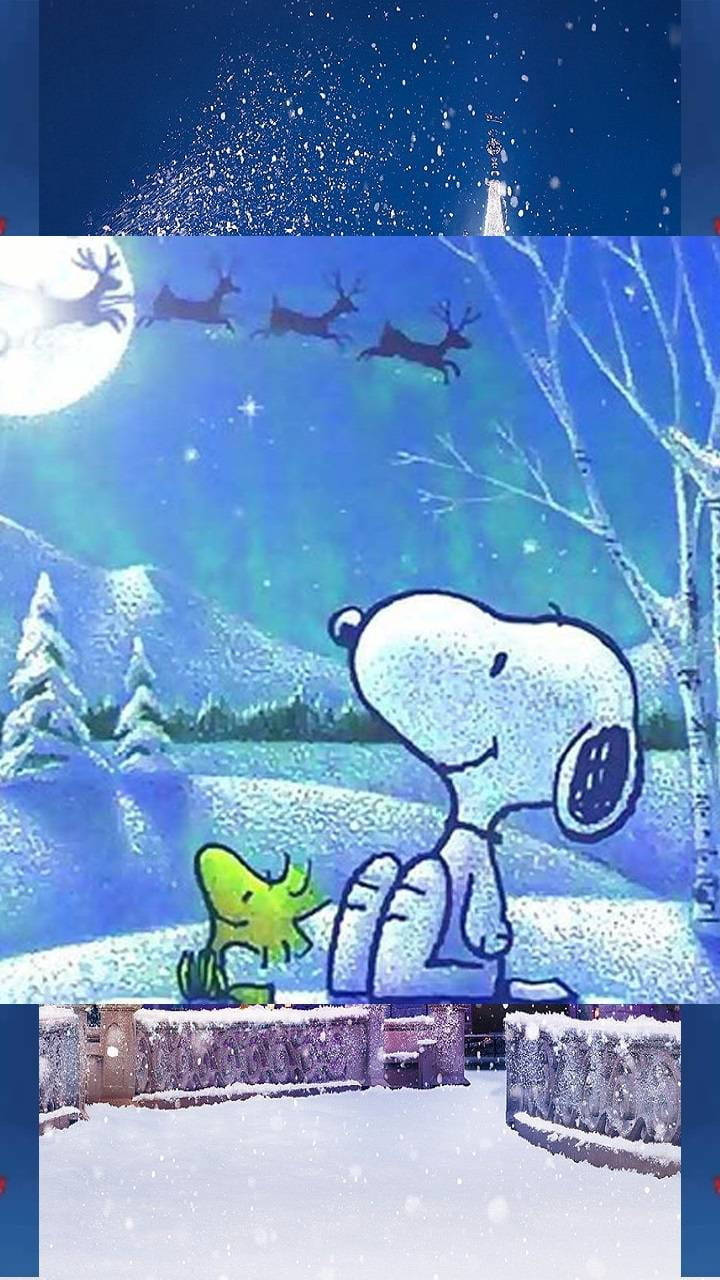Snoopy Jouluporo Taustakuvat
