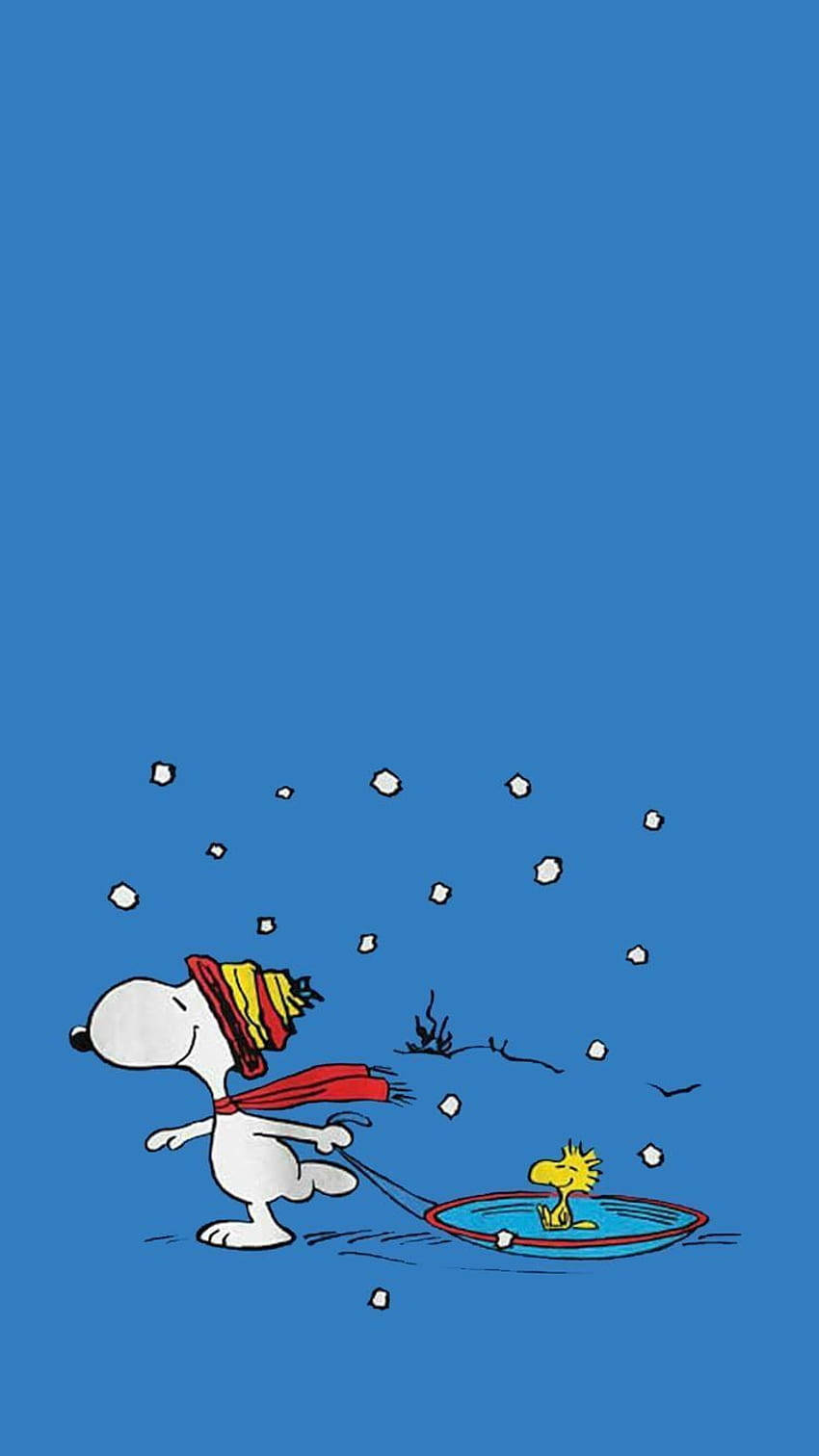 Snoopy vetää Woodstockia joulukuvassa iPhone Taustakuvat
