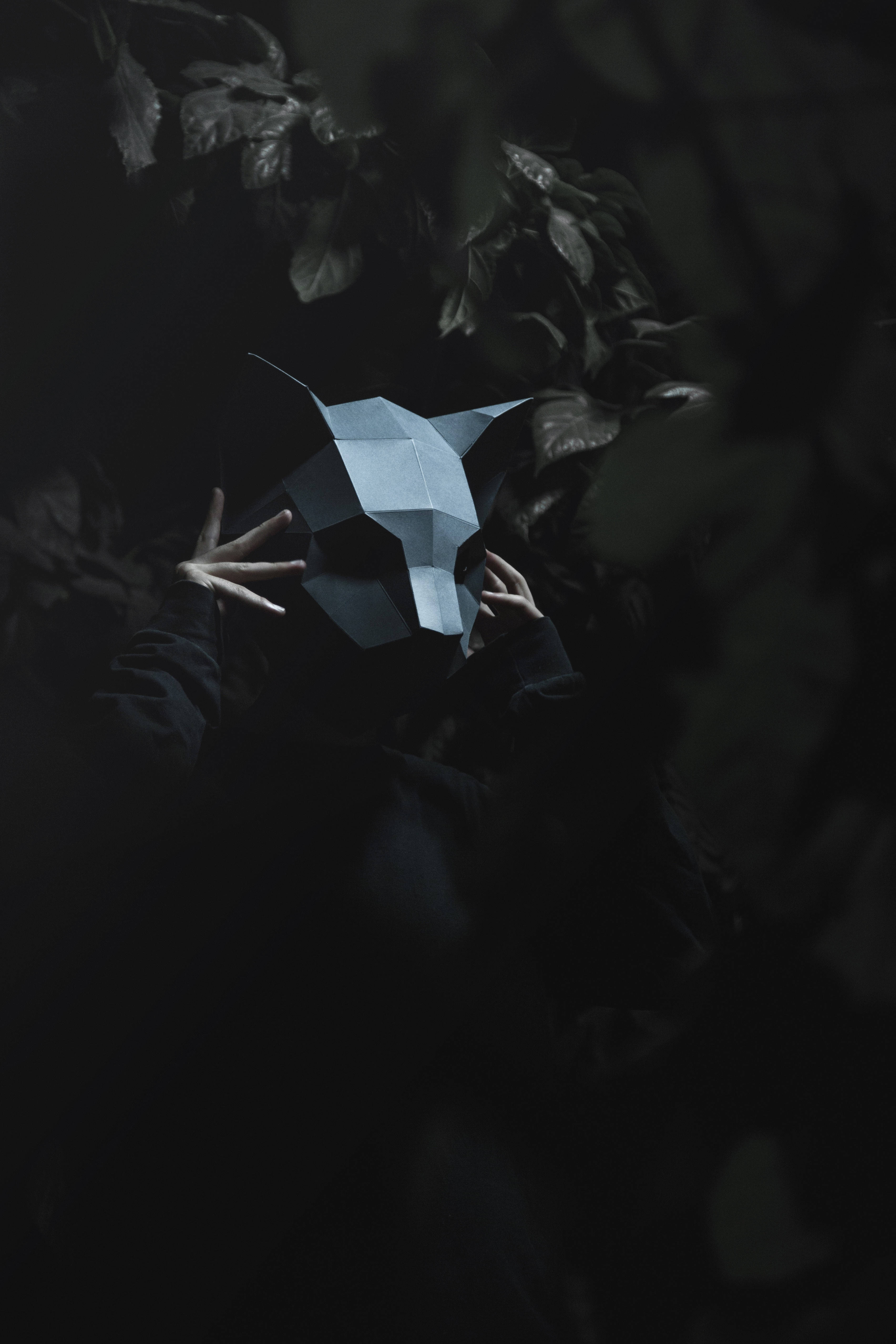 Söpö 3D low-poly kissanaamari Taustakuvat