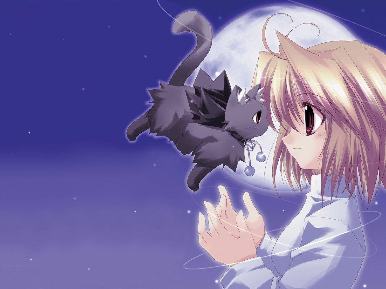 Söpö anime Arcueid Brunestud lentävän kissan kanssa Taustakuvat