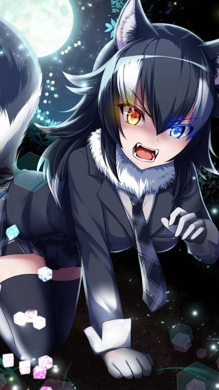 Söpö animeprofiilikuva susityttö Taustakuvat