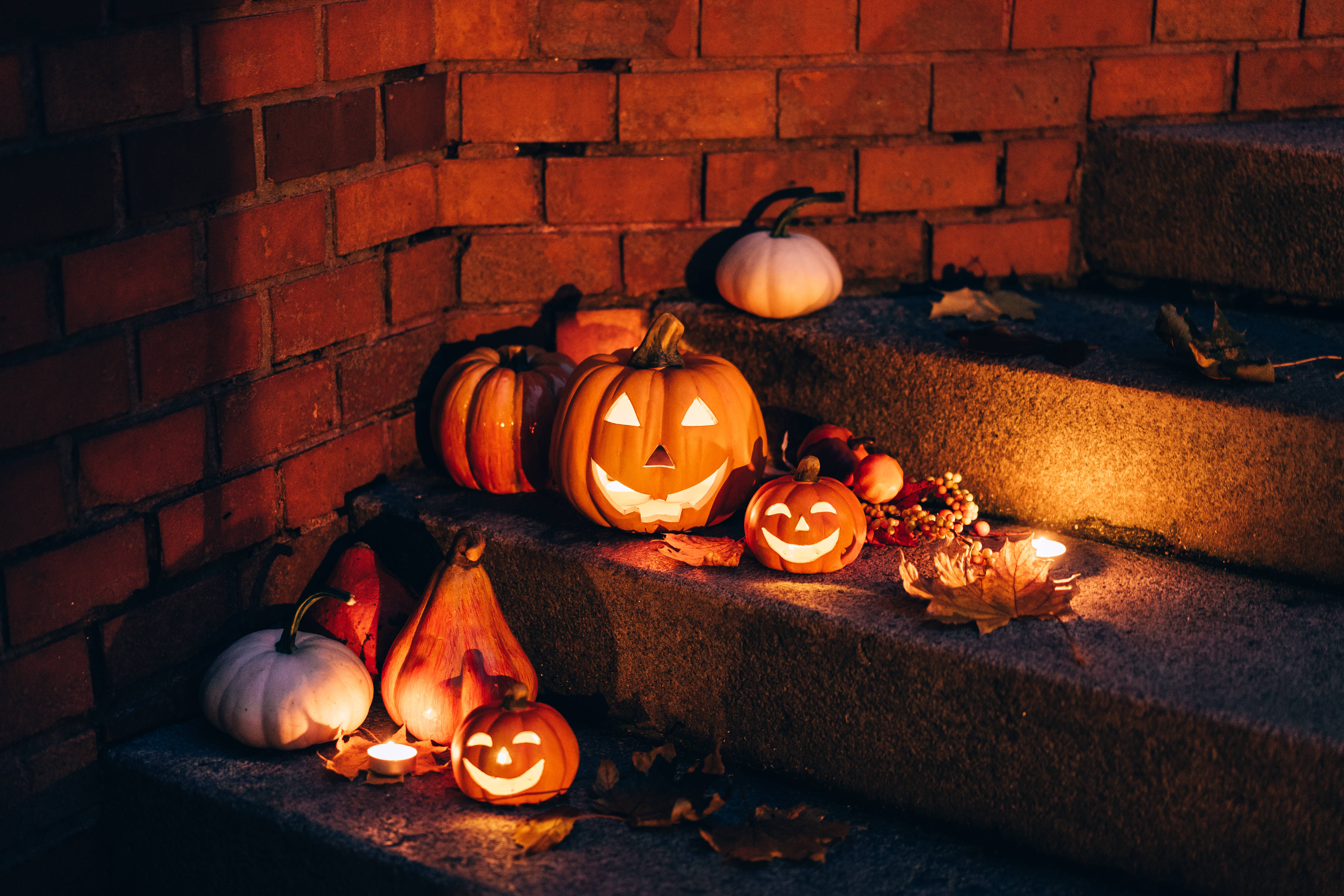 Söpö esteettinen Halloween portailla Taustakuvat
