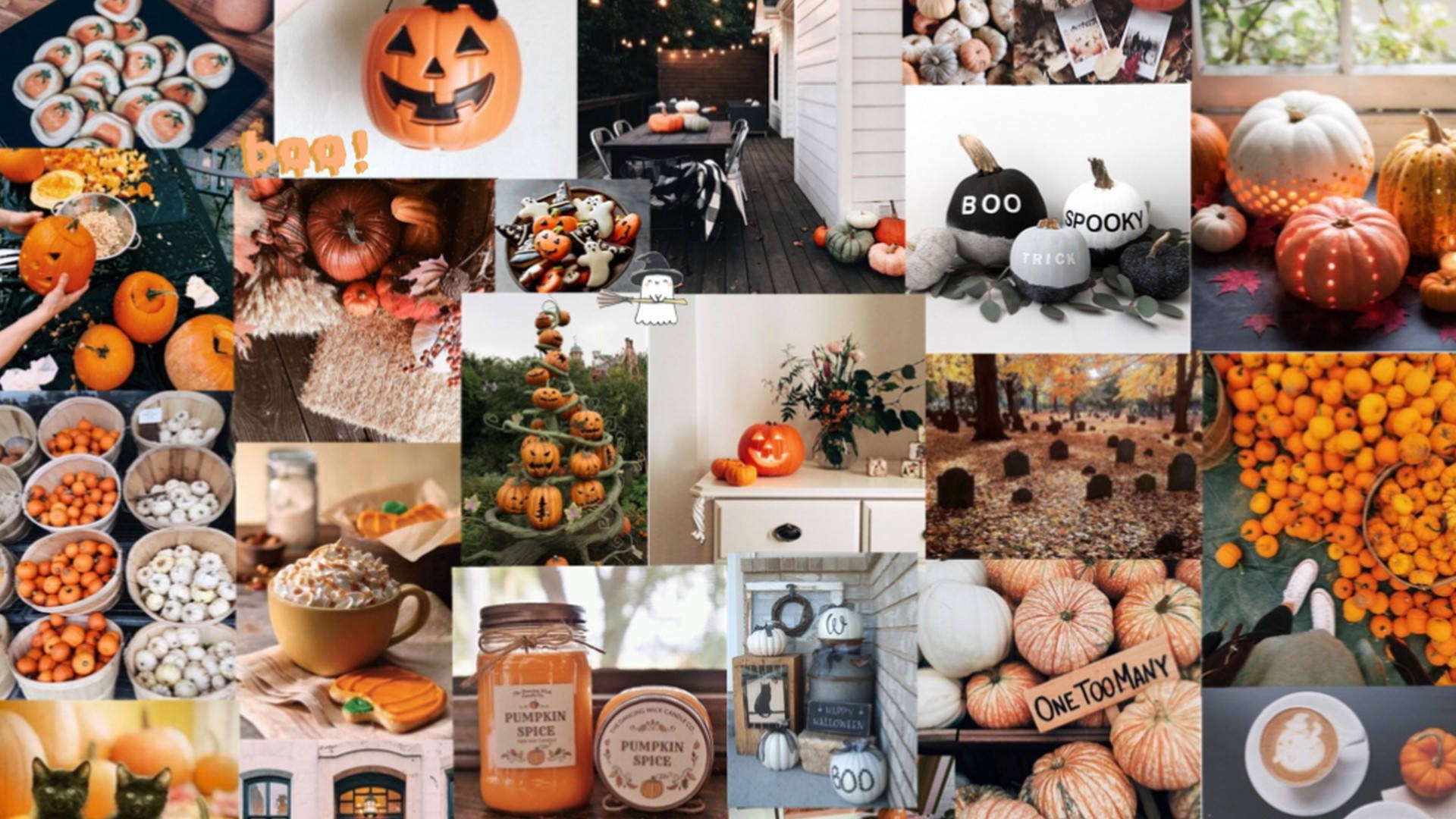 Söpö esteettinen Halloween-kurpitsakollaasi Taustakuvat