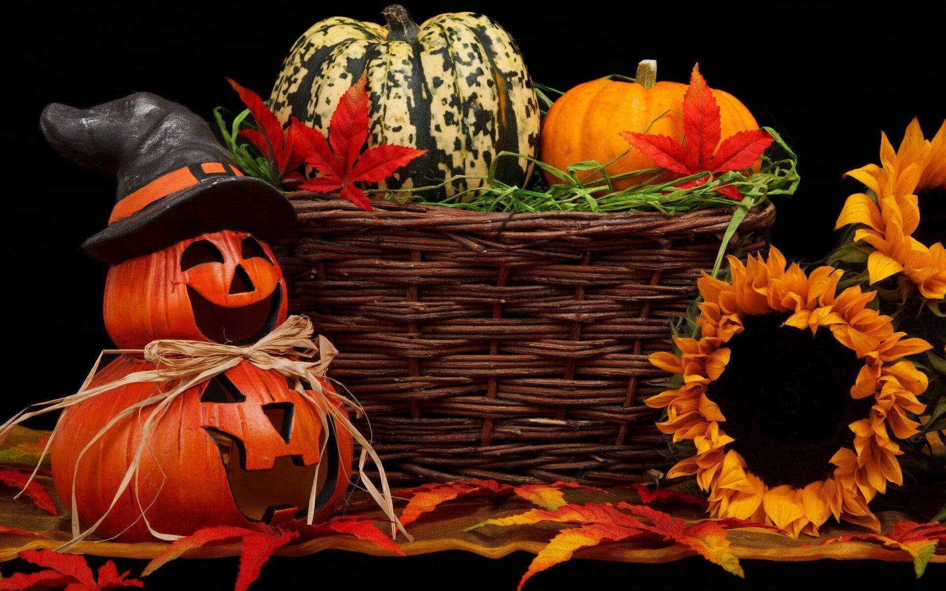 Söpö esteettinen Halloween-kurpitsat ja kukat Taustakuvat