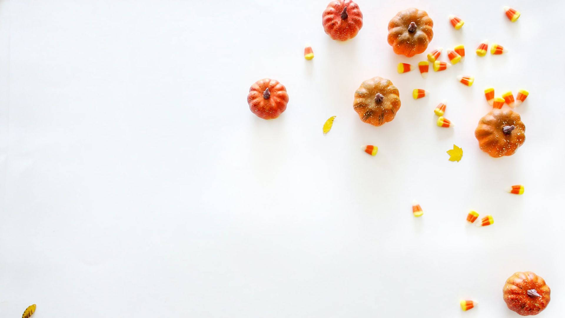 Söpö esteettinen Halloween-pieni kurpitsa Taustakuvat