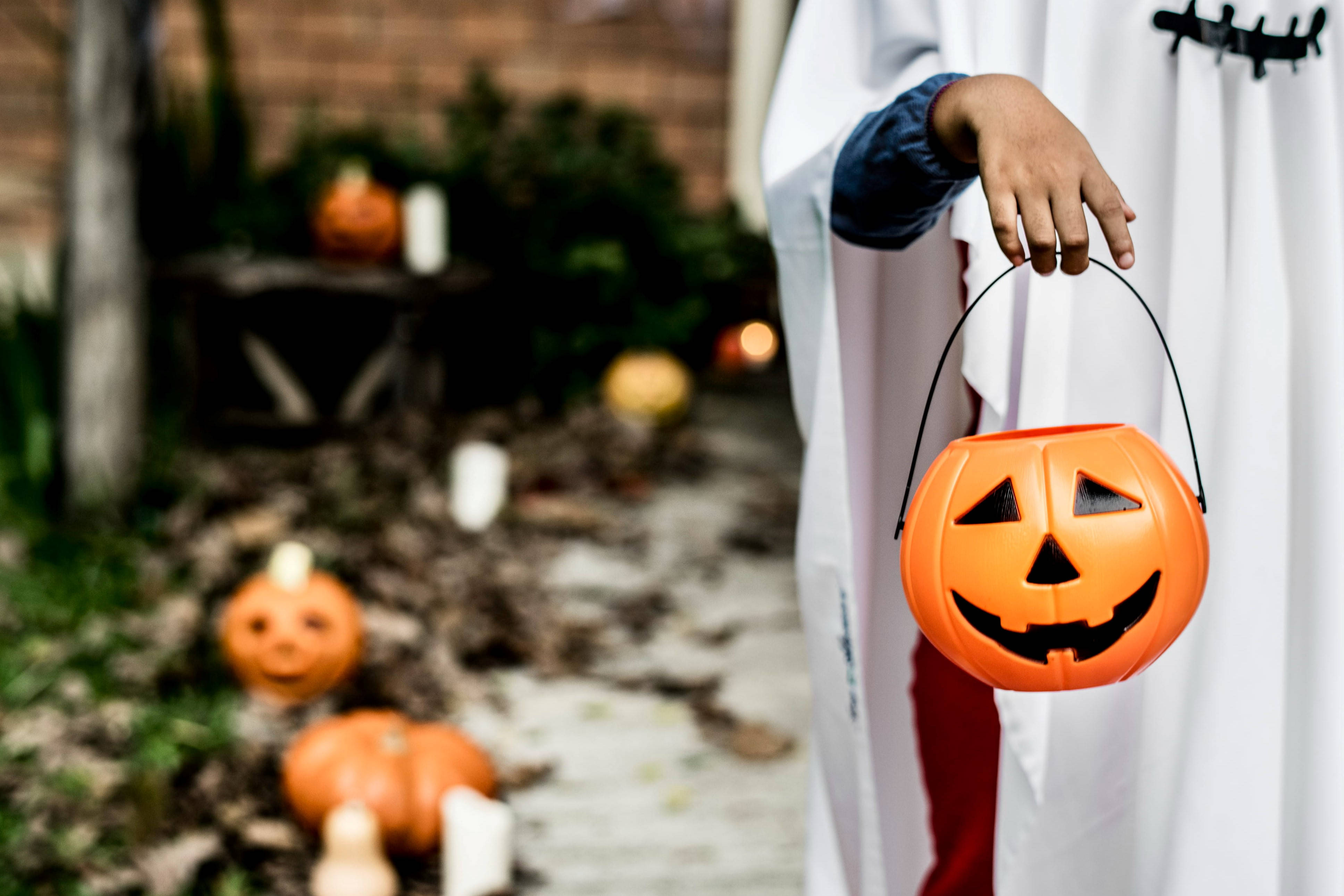 Söpö Halloween-kurpitsaämpäri Taustakuvat