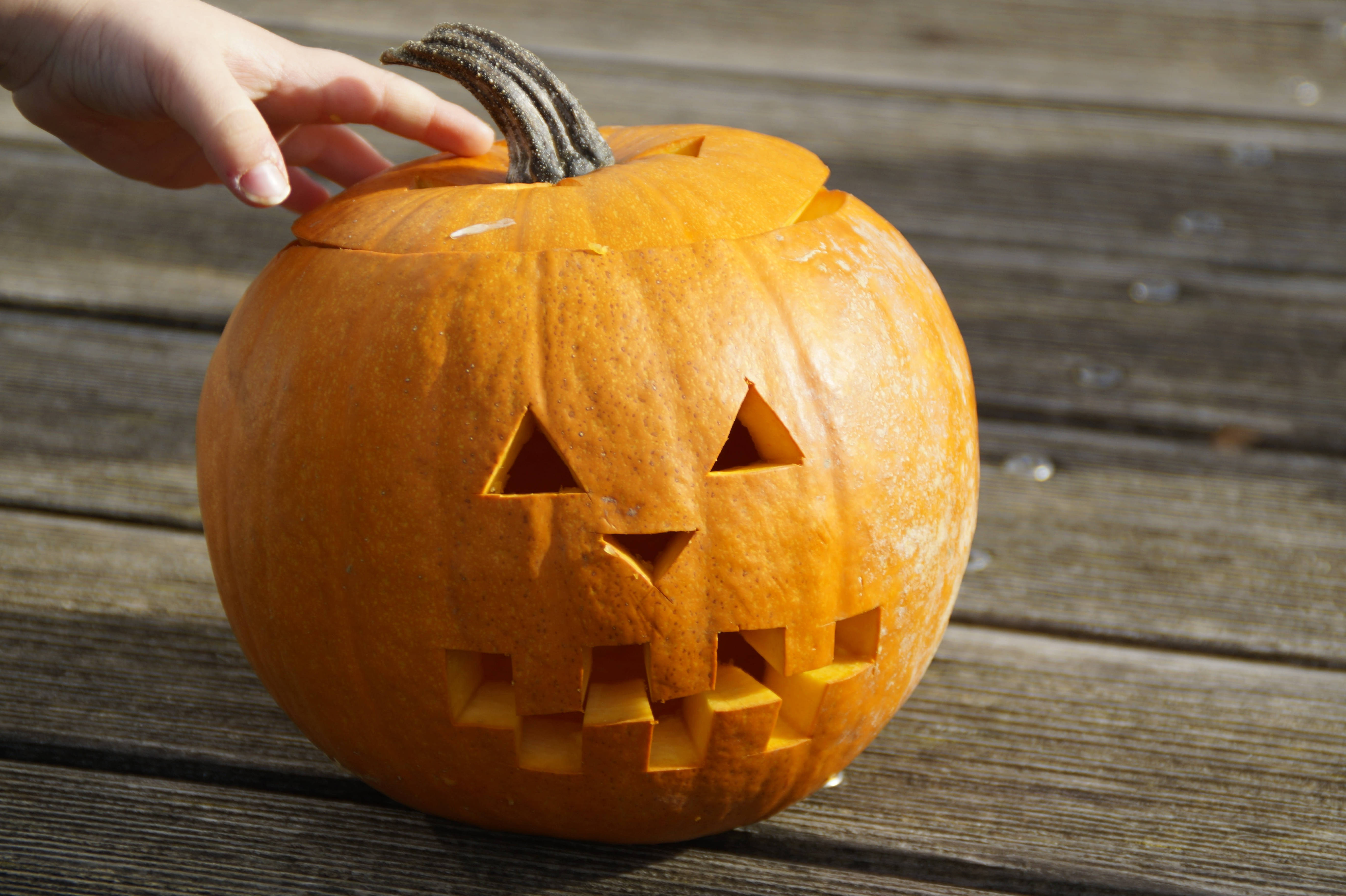Söpö Halloween-kurpitsakosketus Taustakuvat