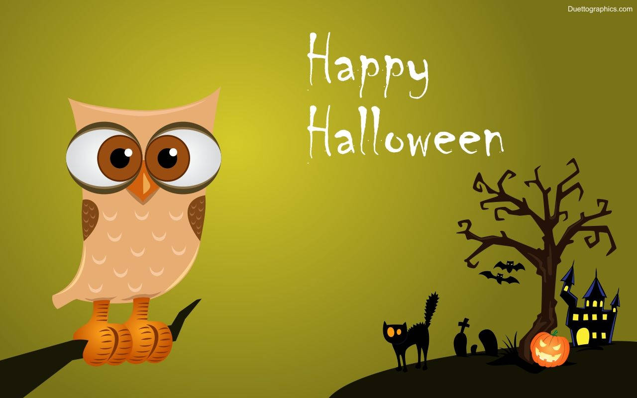Söpö Halloween-pöllö Taustakuvat