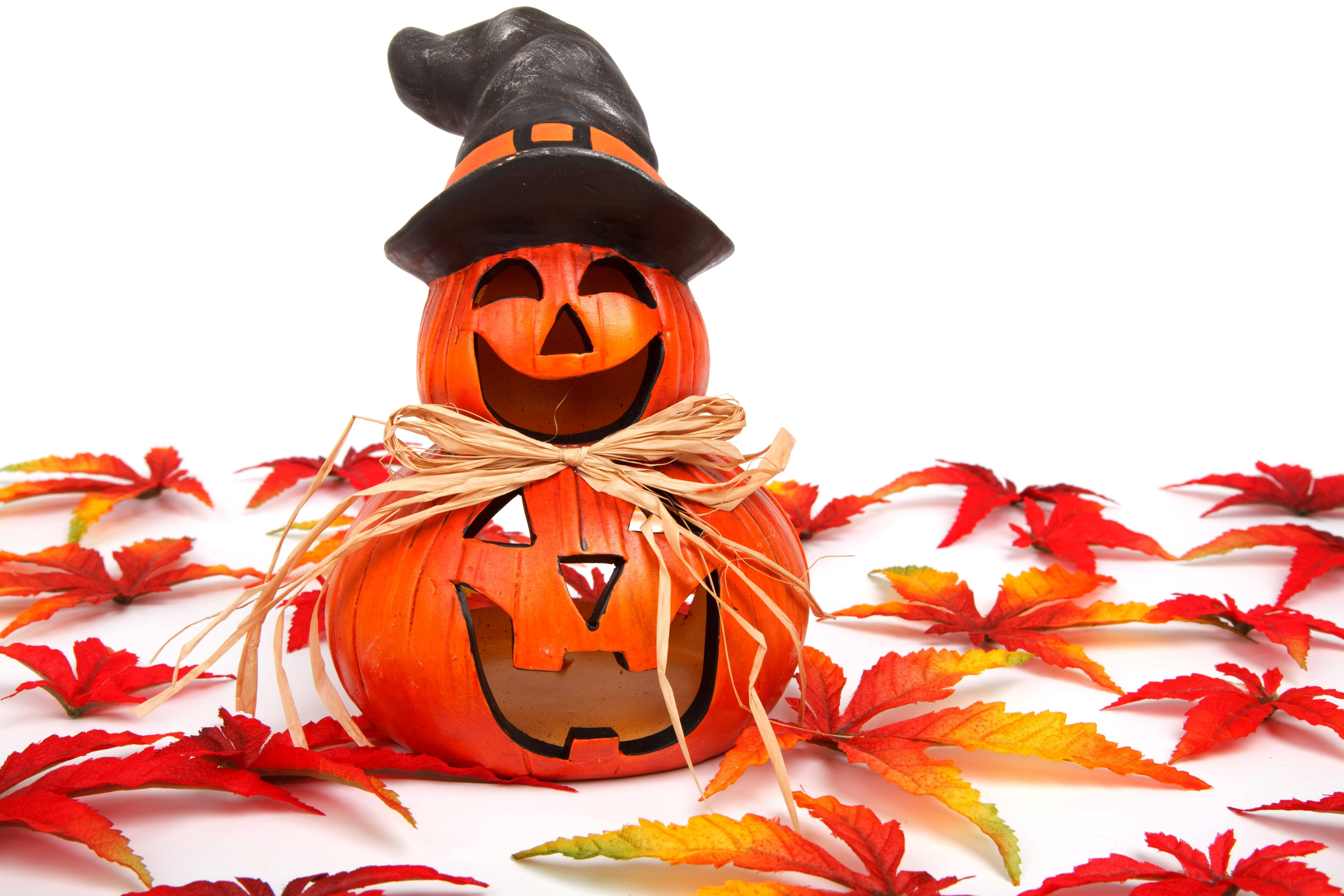 Söpö Halloween-syksyinen Kurpitsalyhty Taustakuvat