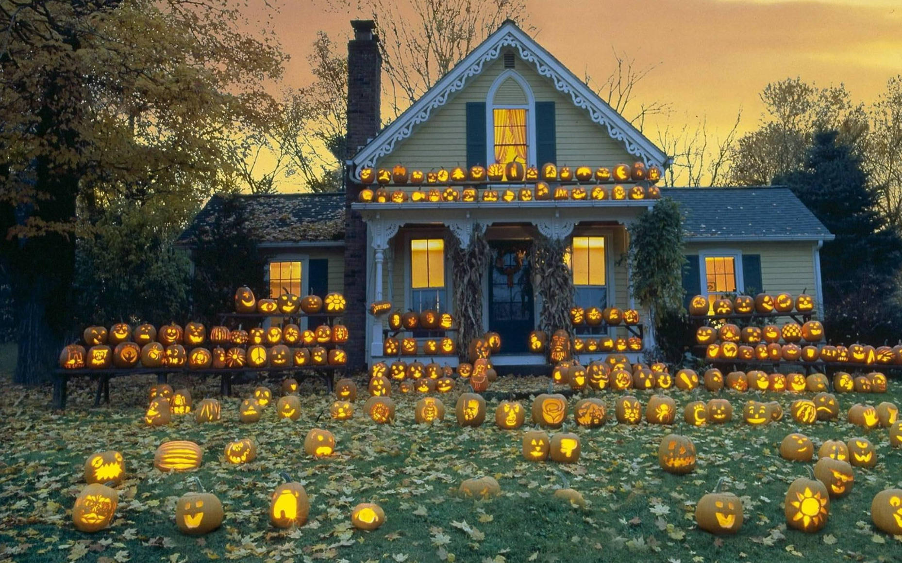 Söpö Halloween-talo Kurpitsalyhdyt Taustakuvat