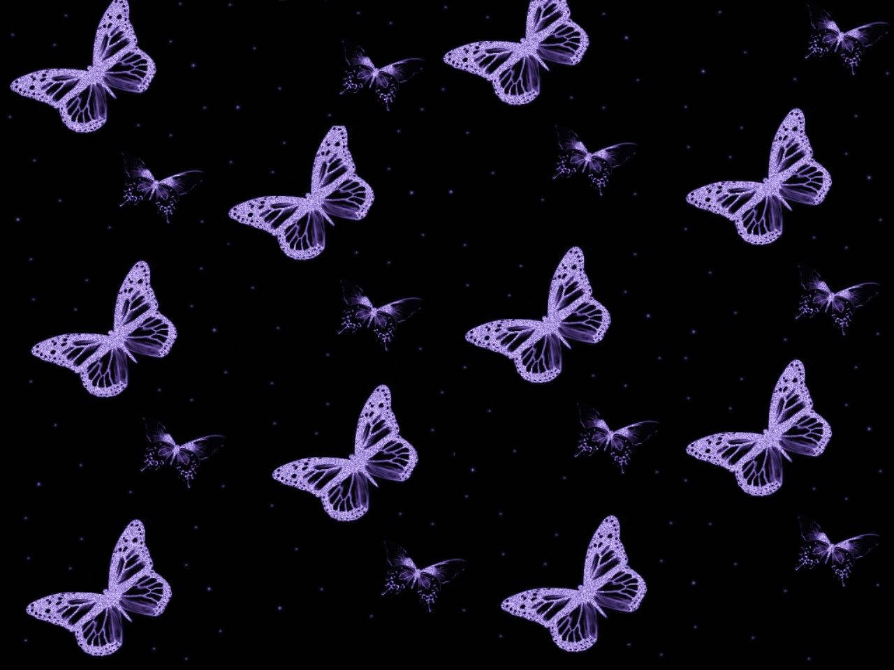 Söpö musta violetti perhoskuvio Taustakuvat