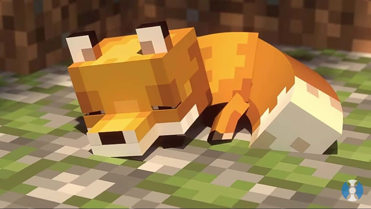 Söpö nukkuva Minecraft-kettu Taustakuvat